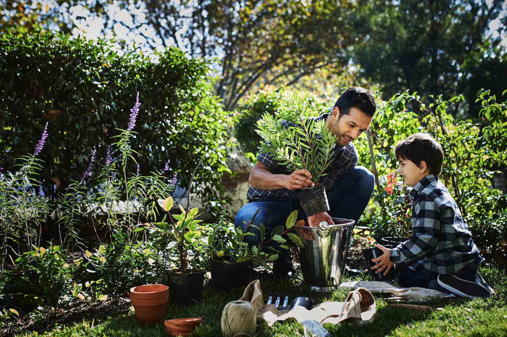 [Land for Sale] Botanical Estate, Mickleham OpenLot